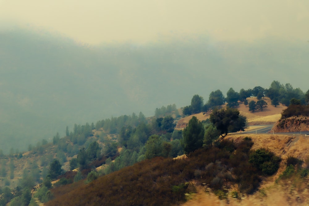 a view of a road on a hill with trees on it