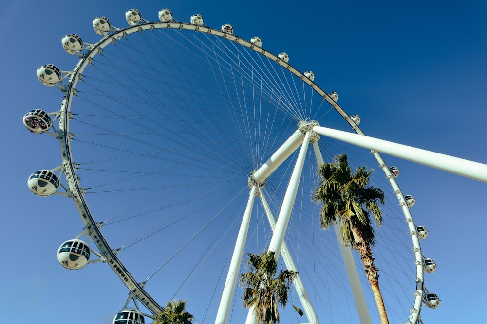 a large ferris wheel sitting next to palm trees