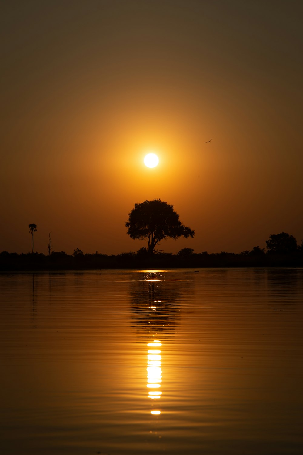 the sun is setting over a body of water