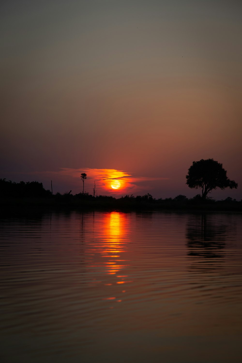 El sol se está poniendo sobre un cuerpo de agua