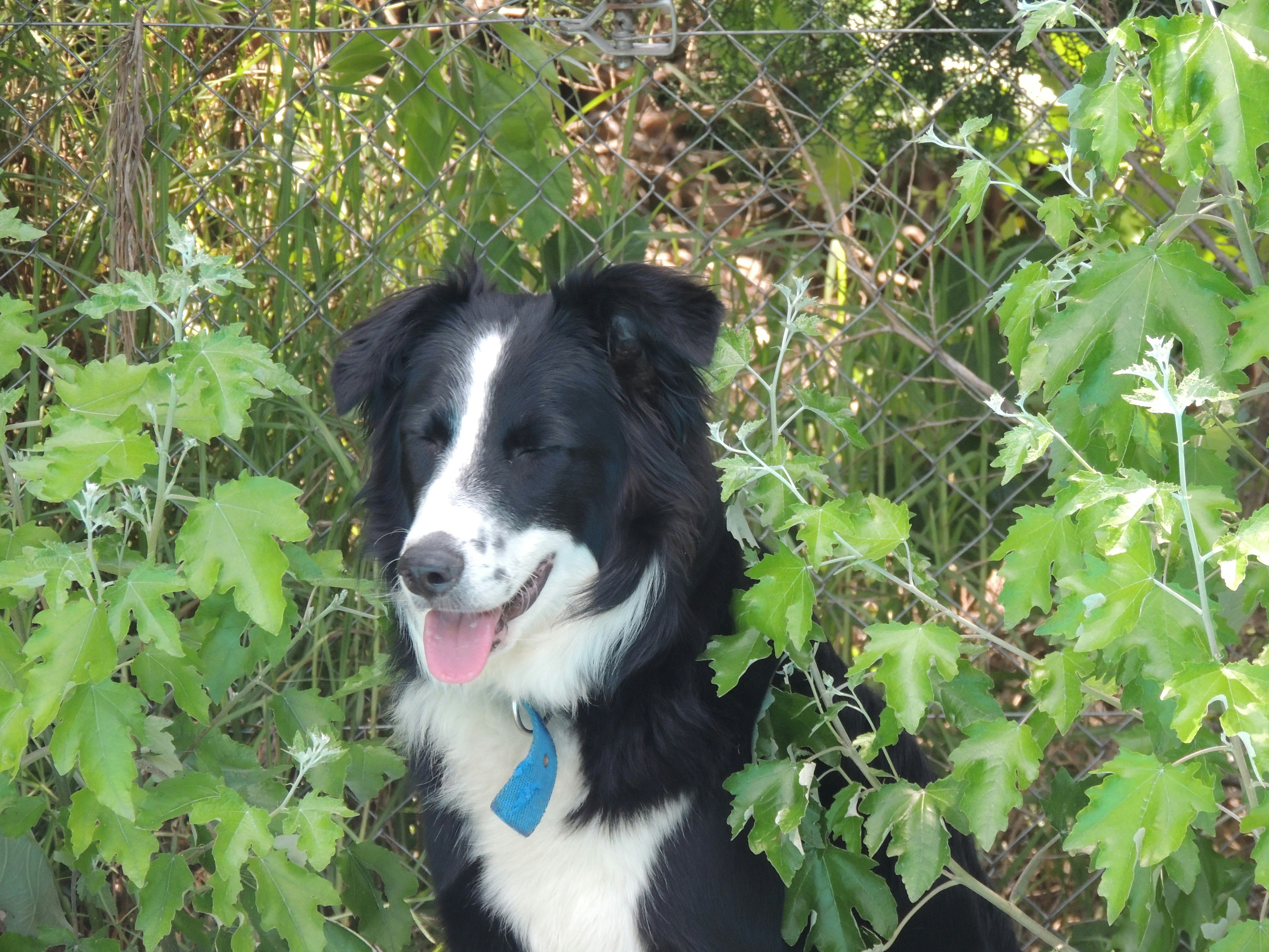 Photo by valen_i_lopez