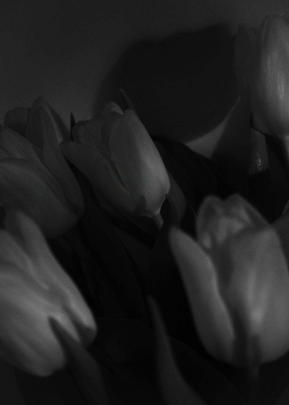 a black and white photo of tulips in a vase