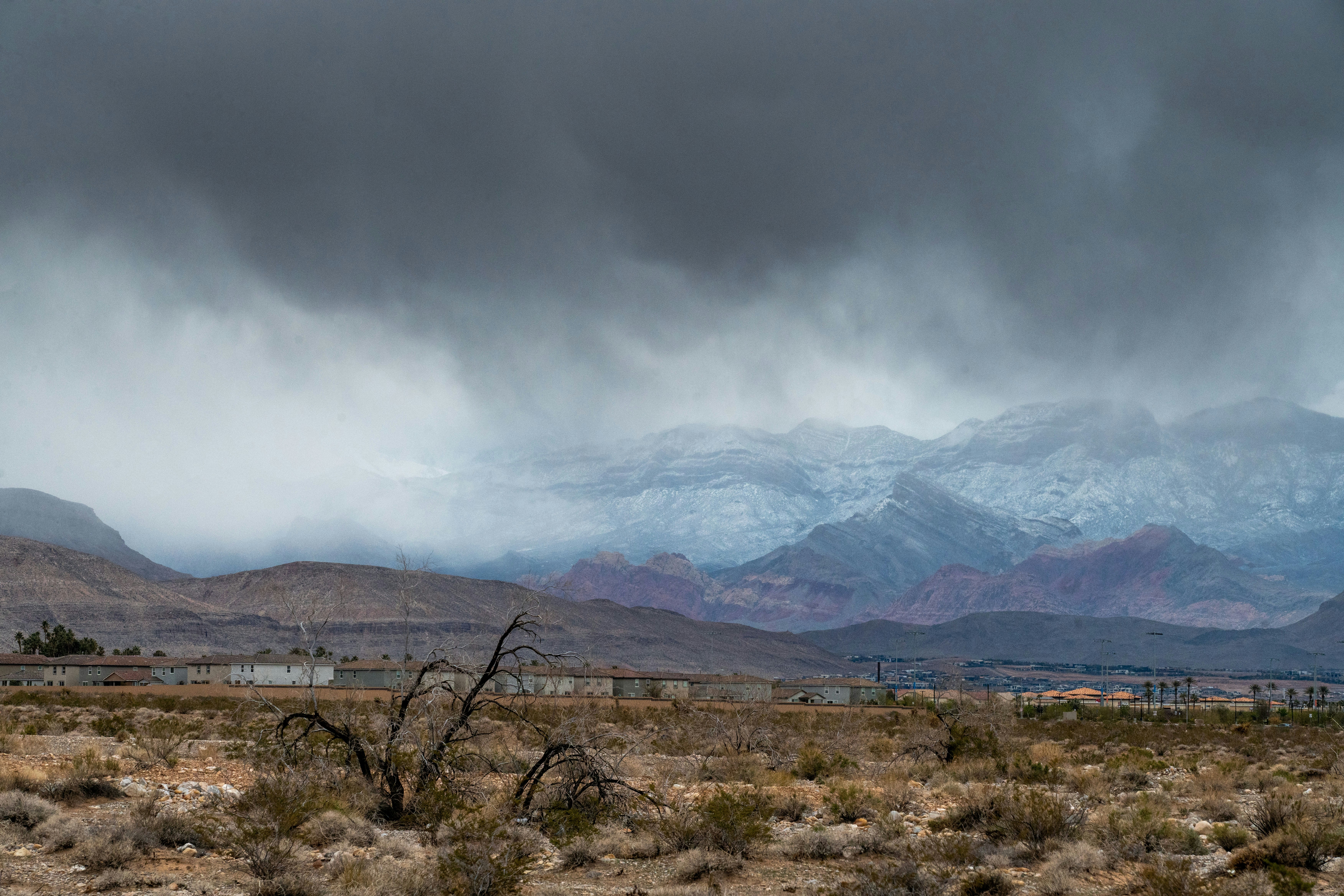 Image by Rakitha Perera via Unsplash