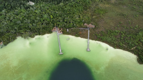 an aerial view of a body of water surrounded by trees