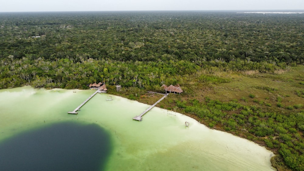 a large body of water surrounded by trees