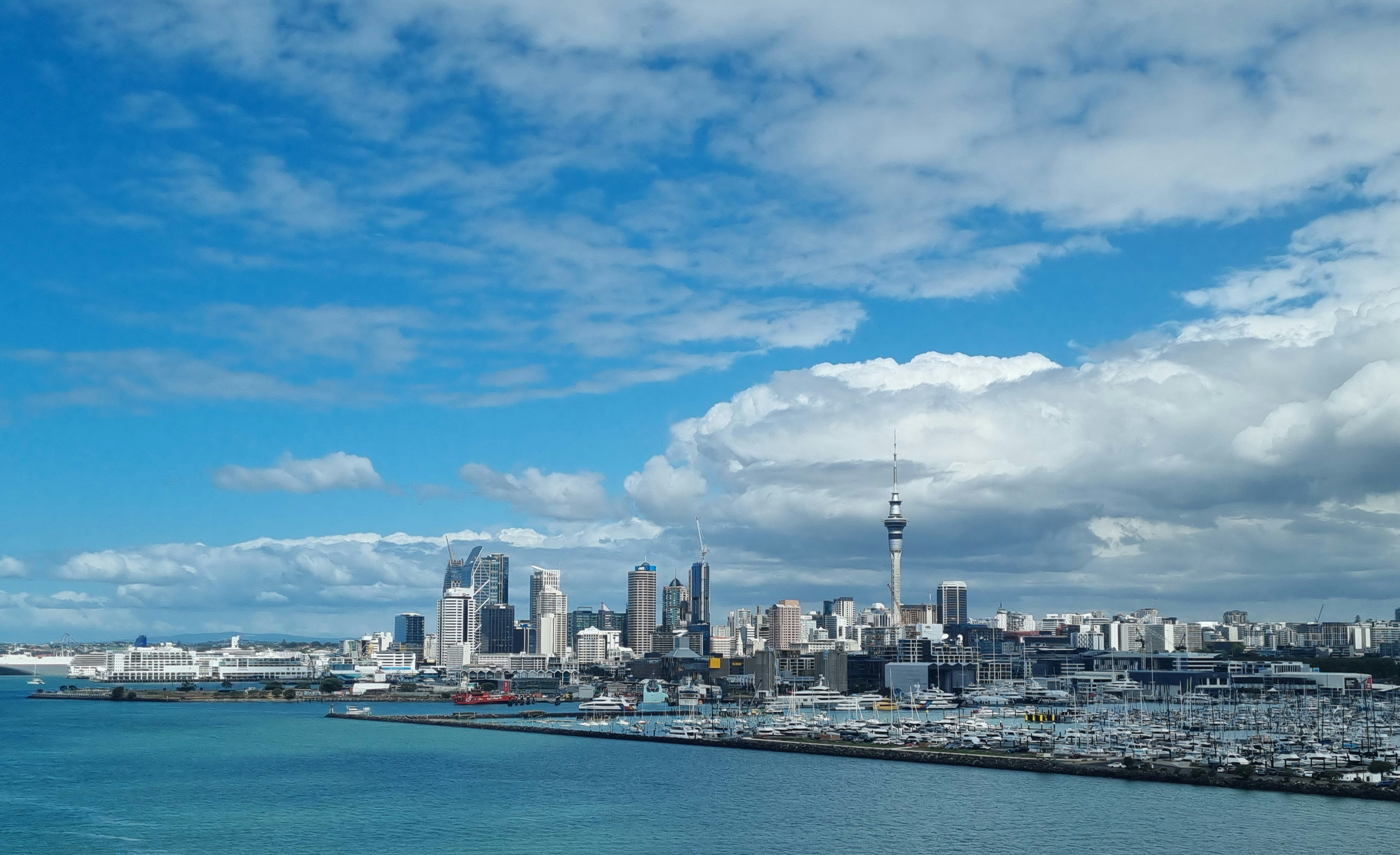 Photo of Auckland