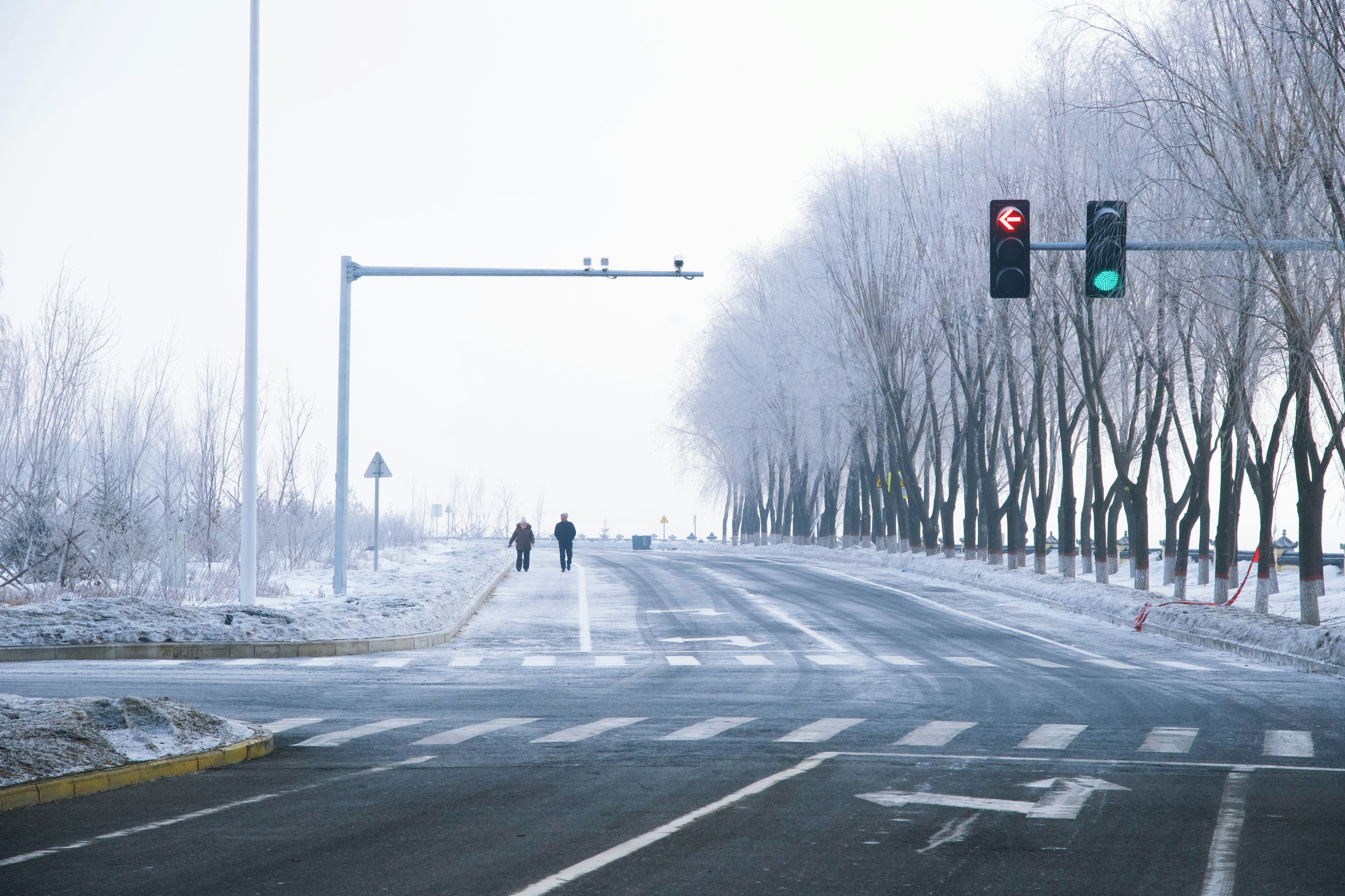 a snowy street with a traffic light and trees