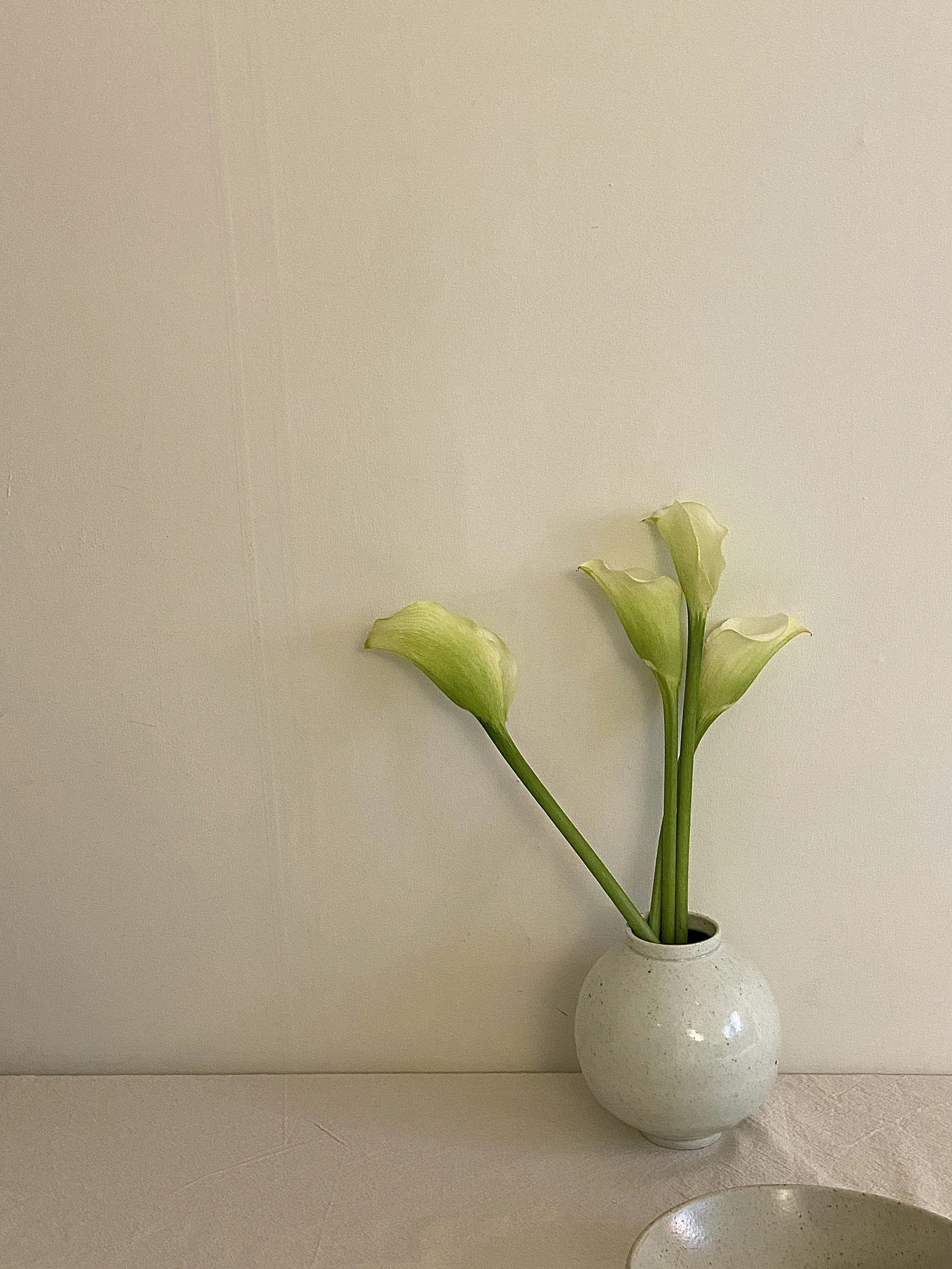 a white vase with two green flowers in it