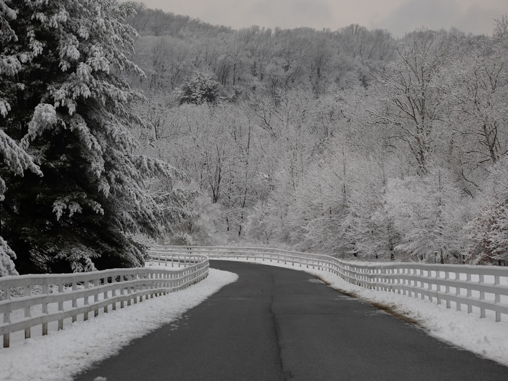 a snowy road with a white fence and trees