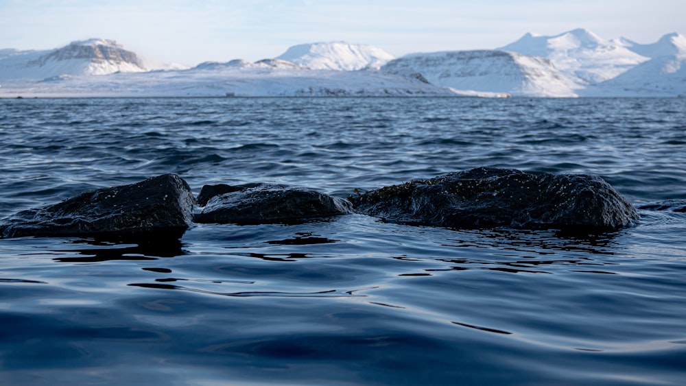 a body of water with some rocks in it