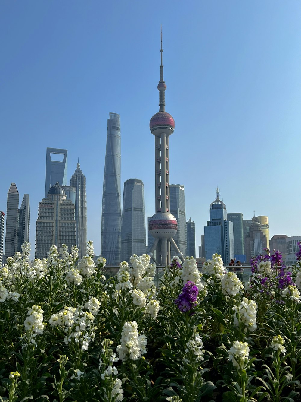 a view of a city with tall buildings and flowers in the foreground