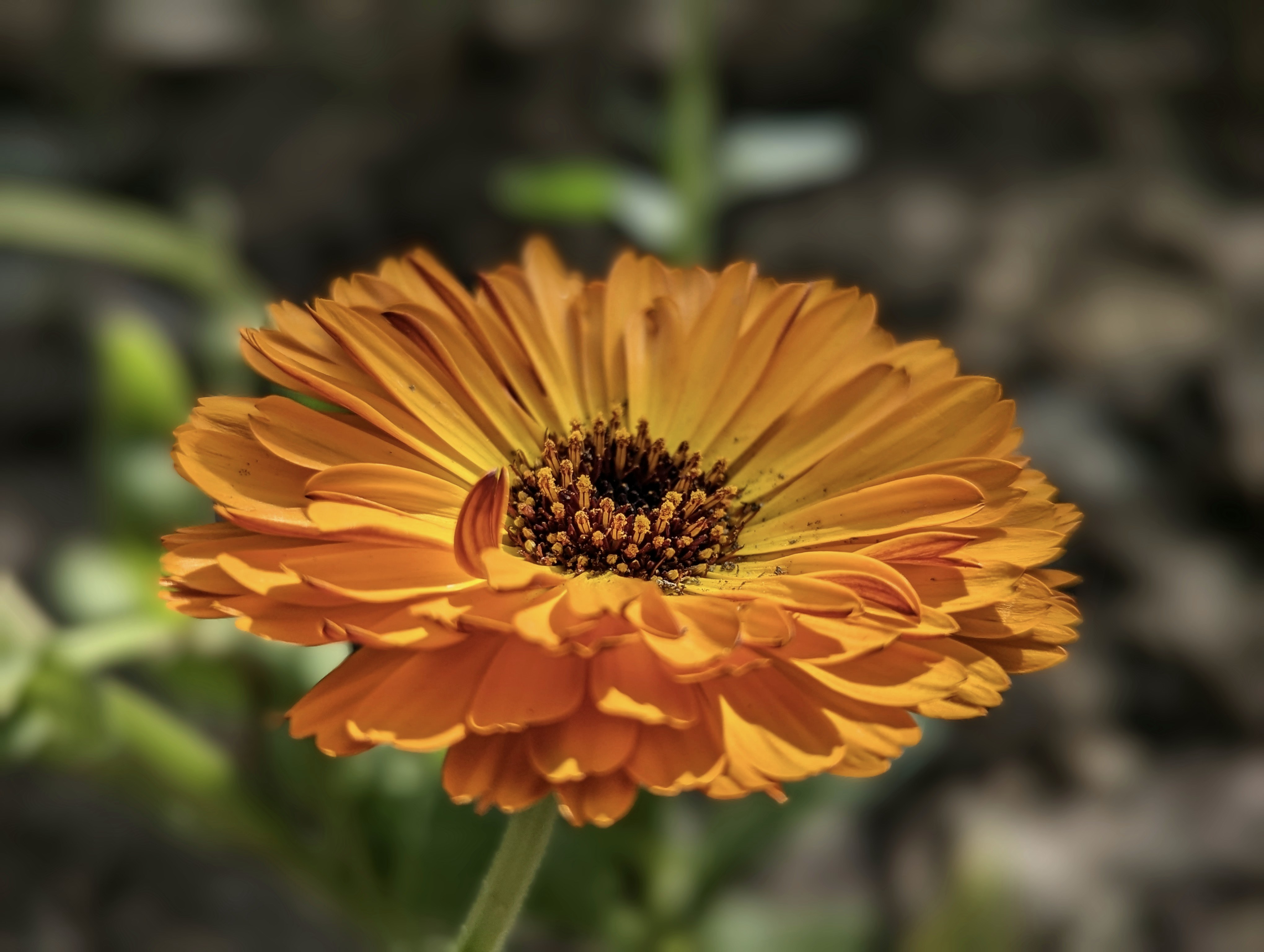 Photo by sudhanshu221b