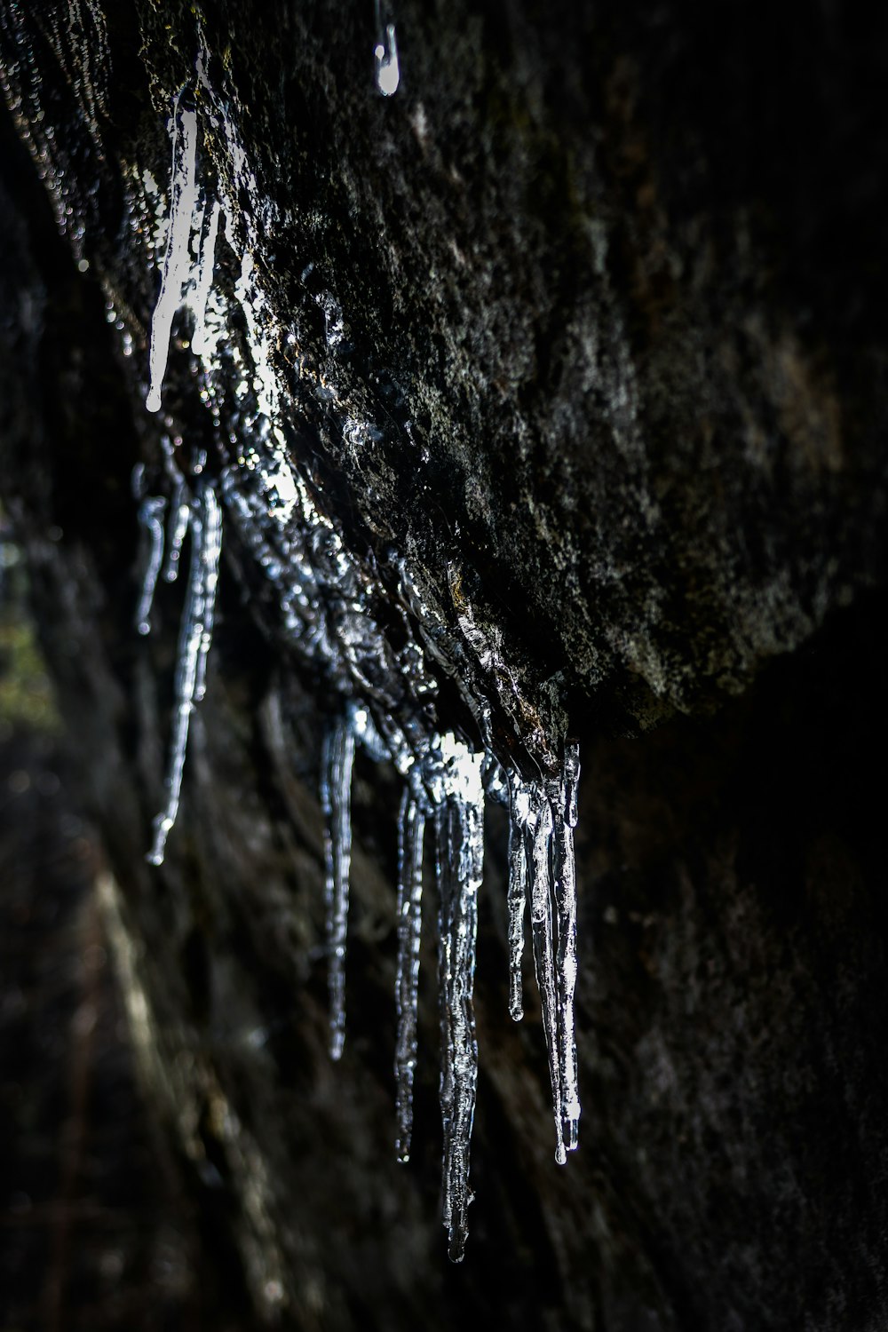 icicles hanging from a tree in the dark