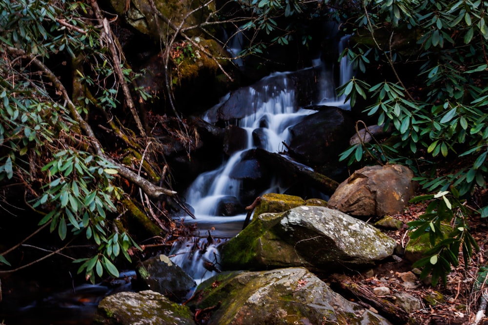 a small waterfall in the middle of a forest