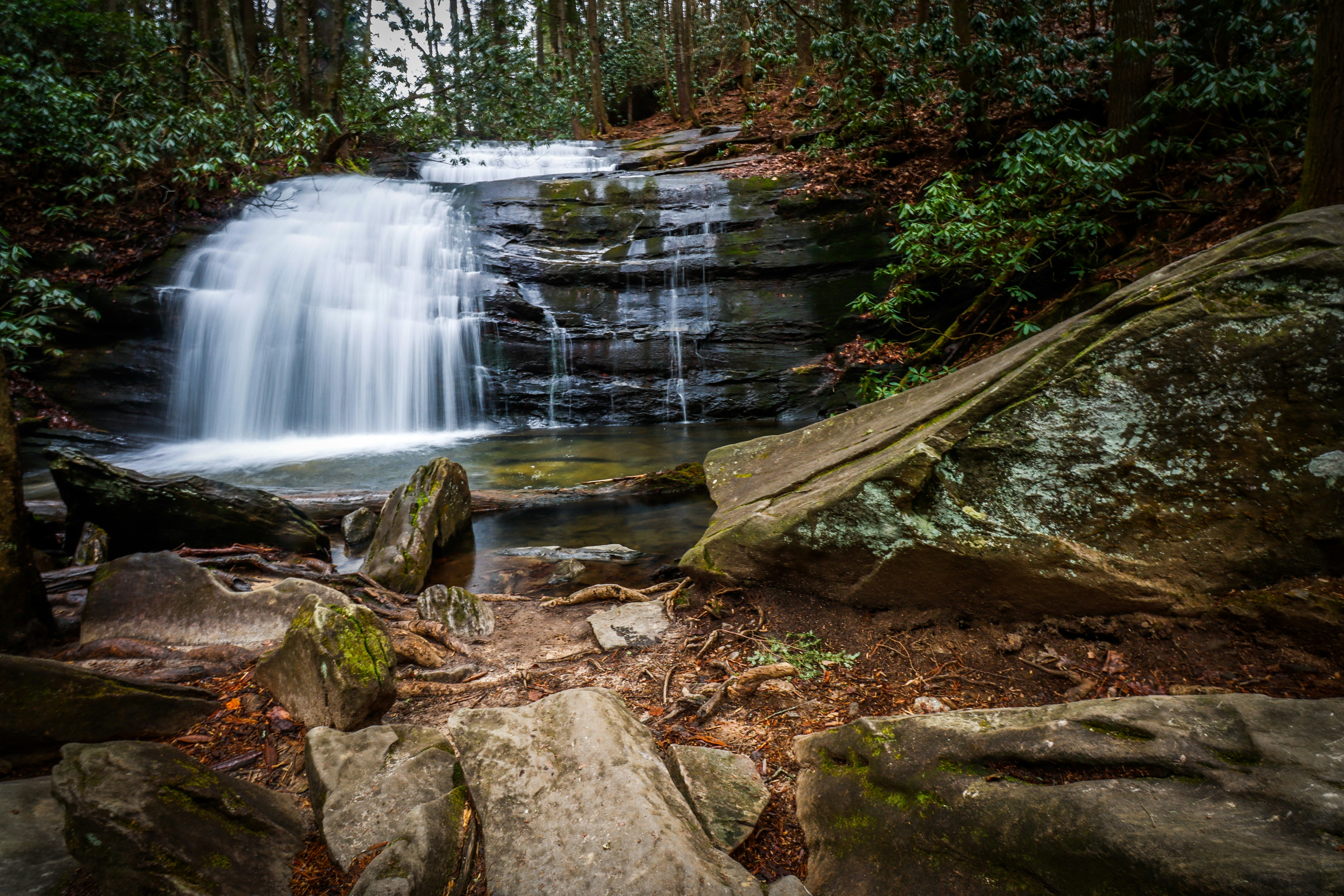 Photo by alla_kemelmakher