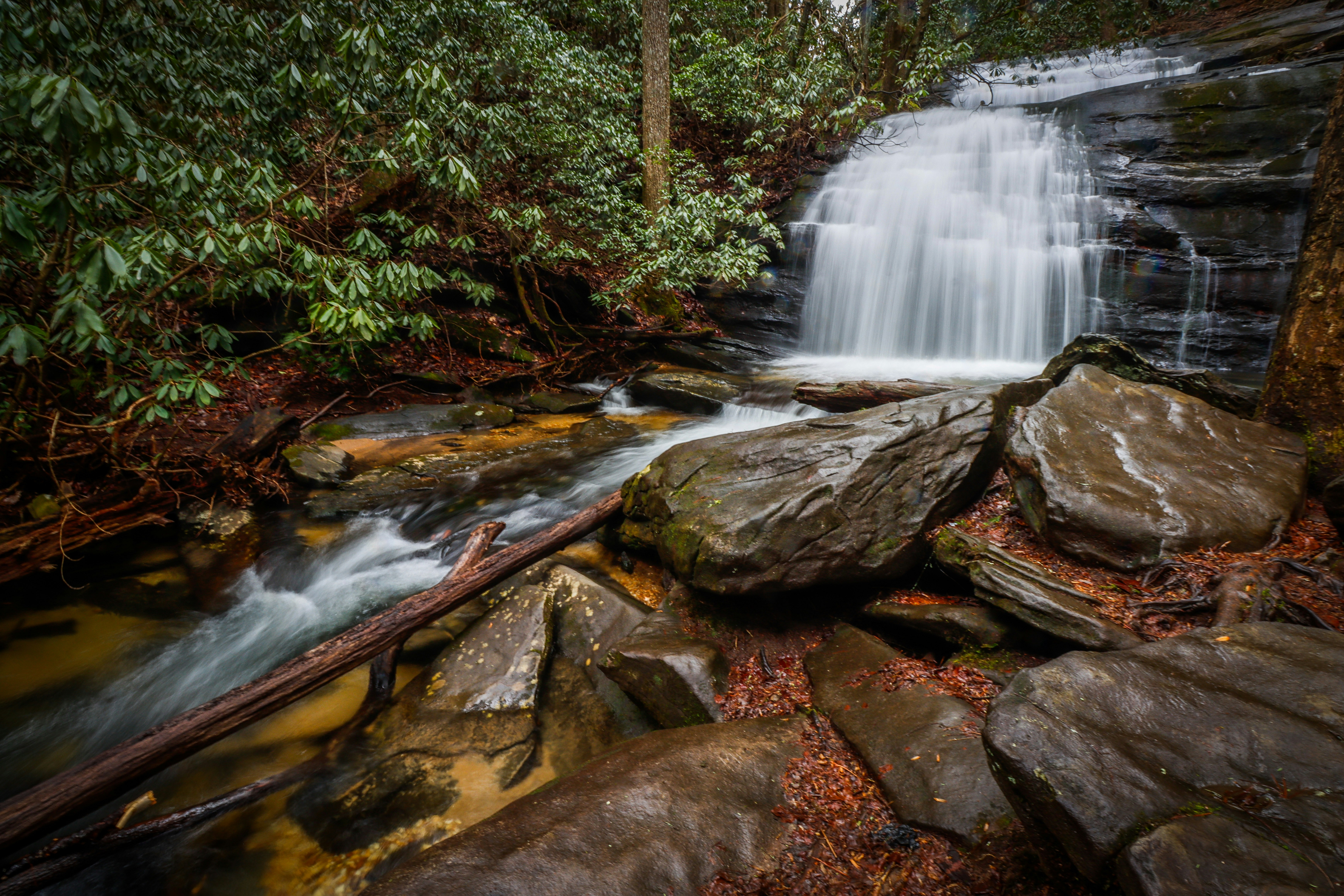 Photo by alla_kemelmakher