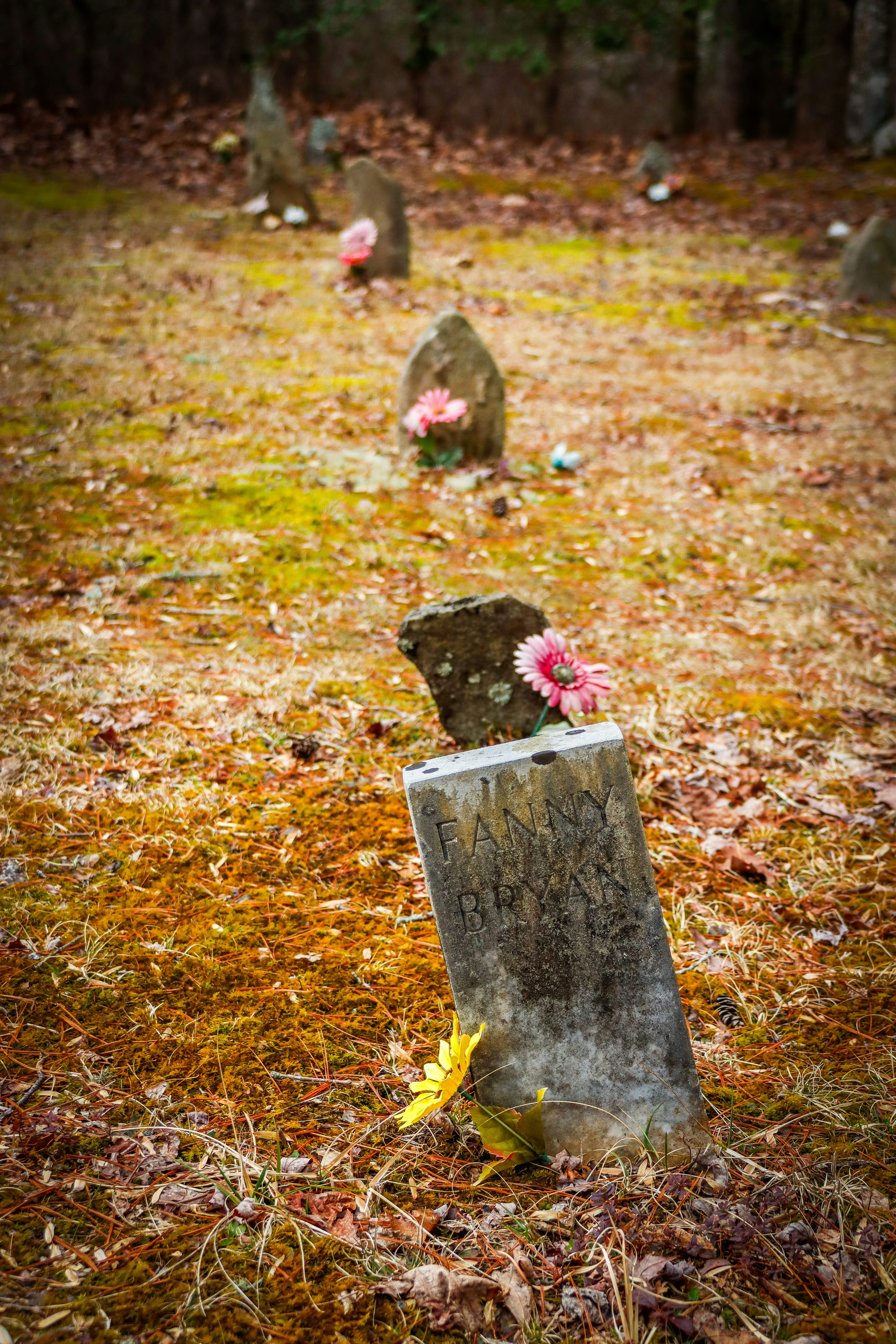 a group of headstones in a grassy area