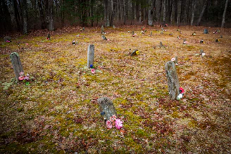 a grassy area with several headstones and flowers