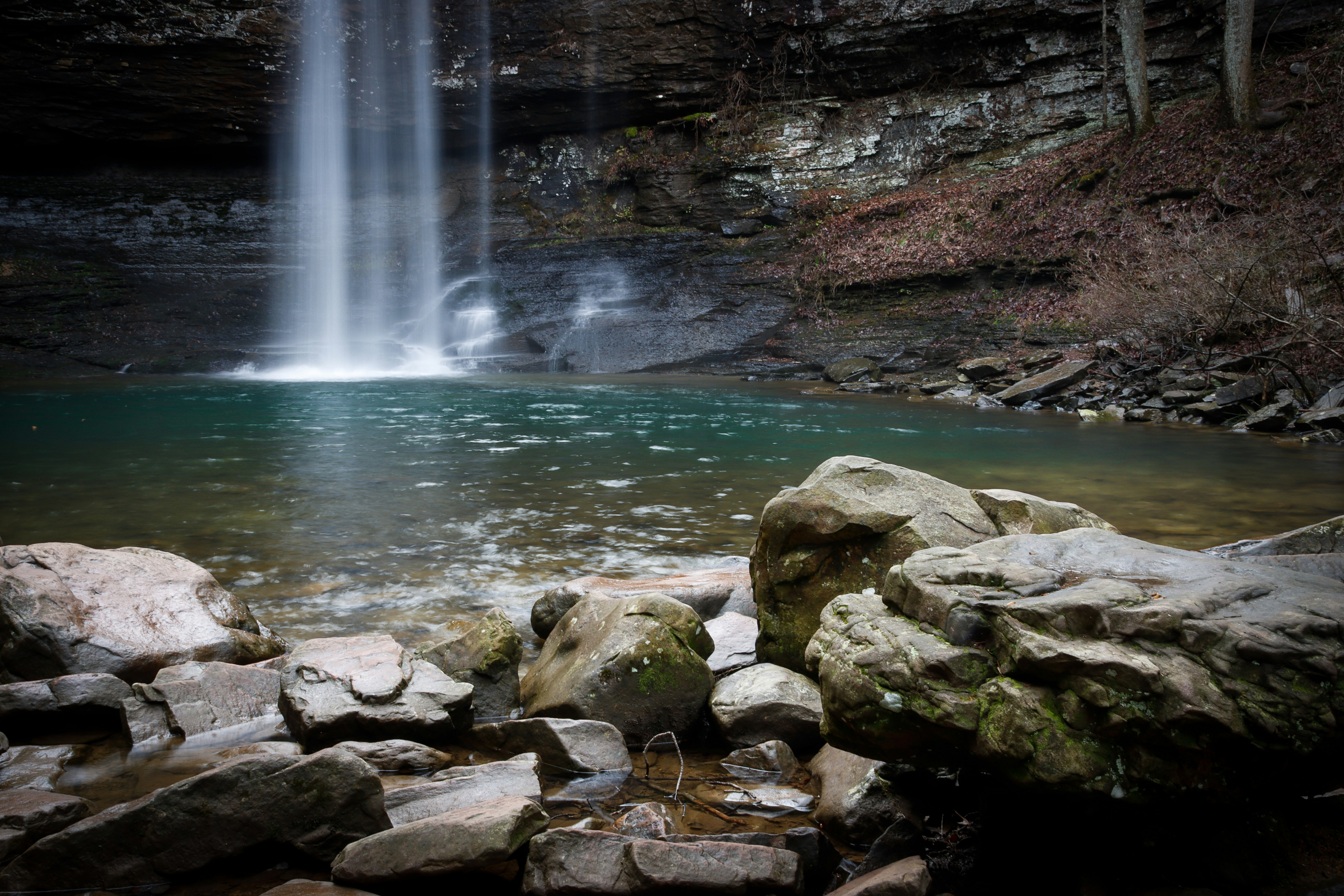 Photo by alla_kemelmakher