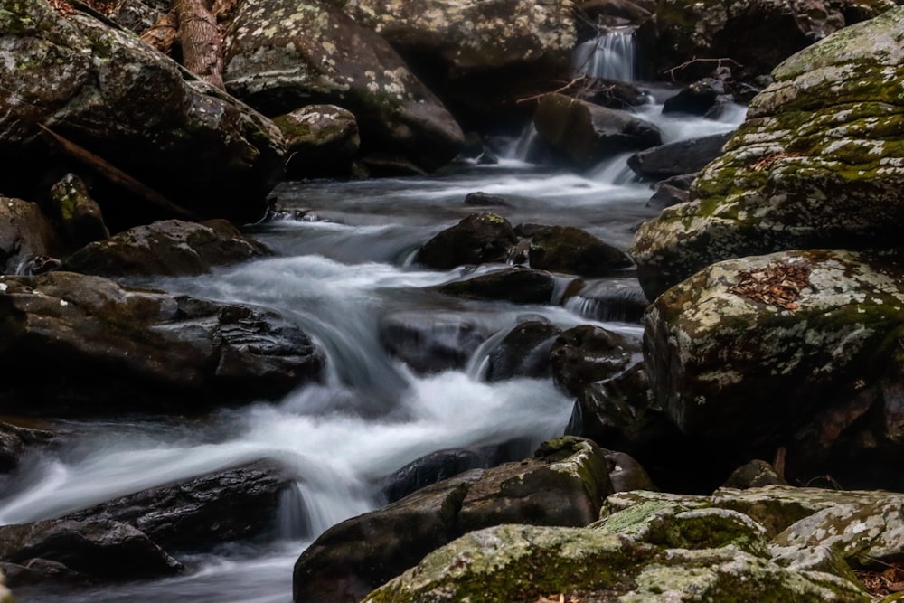a stream of water running between rocks in a forest
