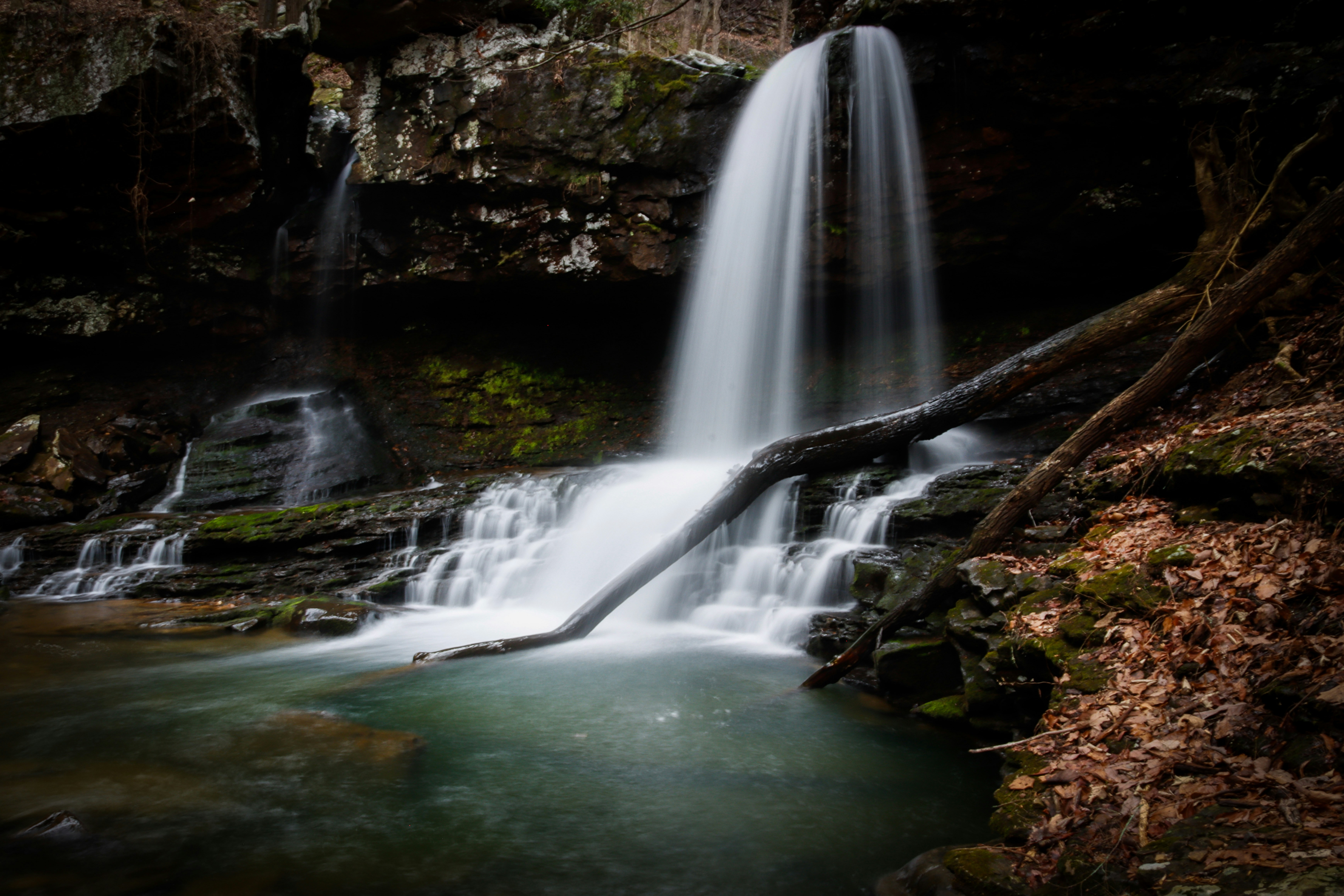 Photo by alla_kemelmakher