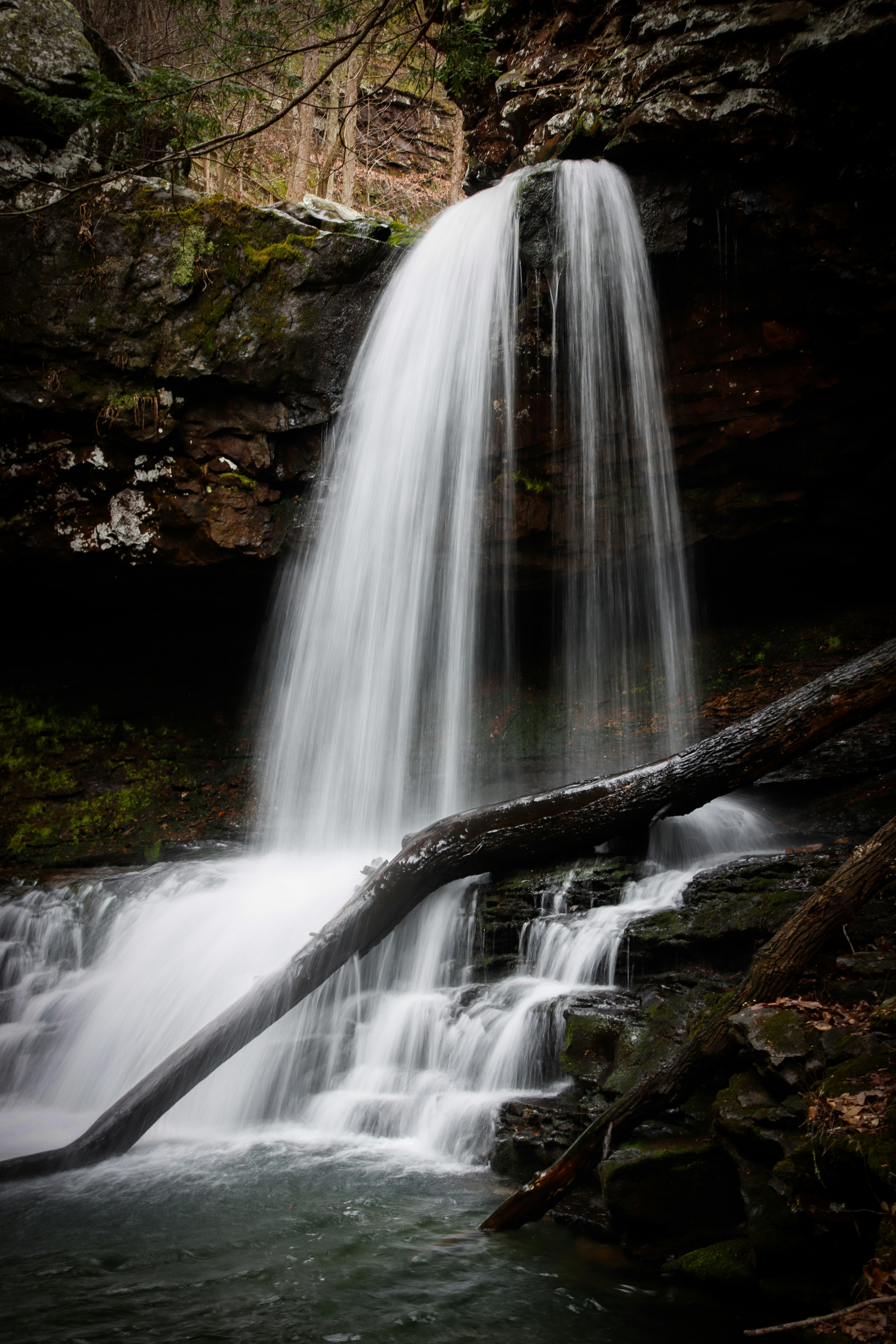 Photo by alla_kemelmakher