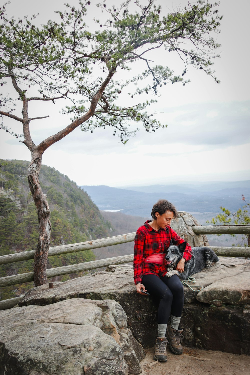 a woman sitting on top of a rock next to a tree