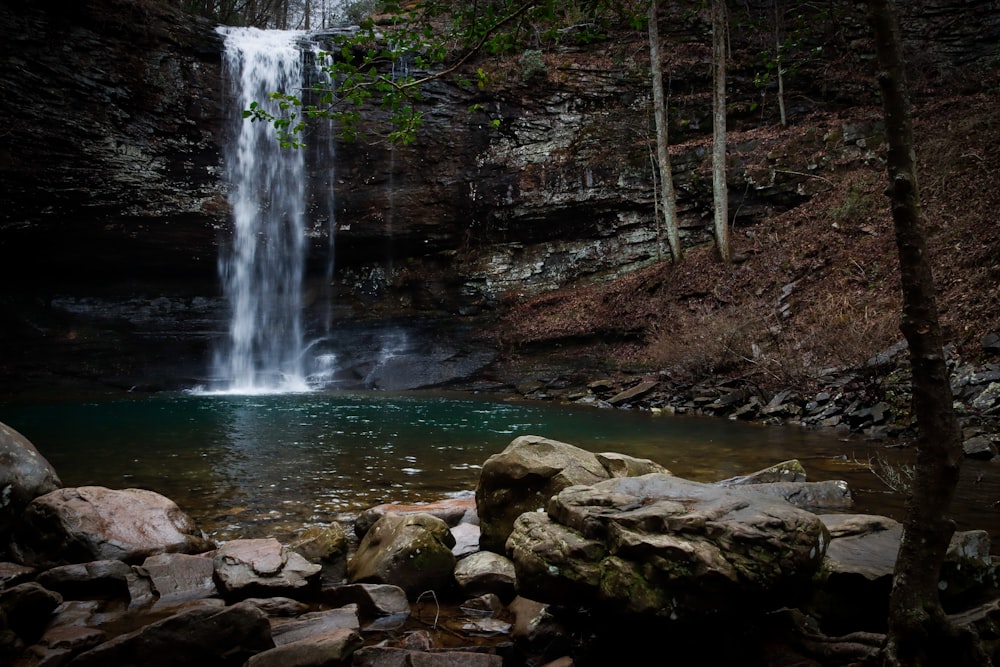 a waterfall in the middle of a forest