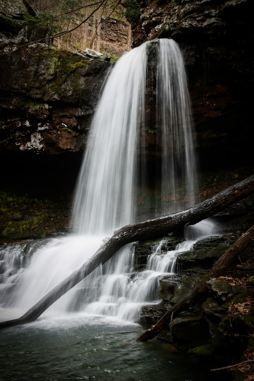 a waterfall with a fallen tree in the foreground