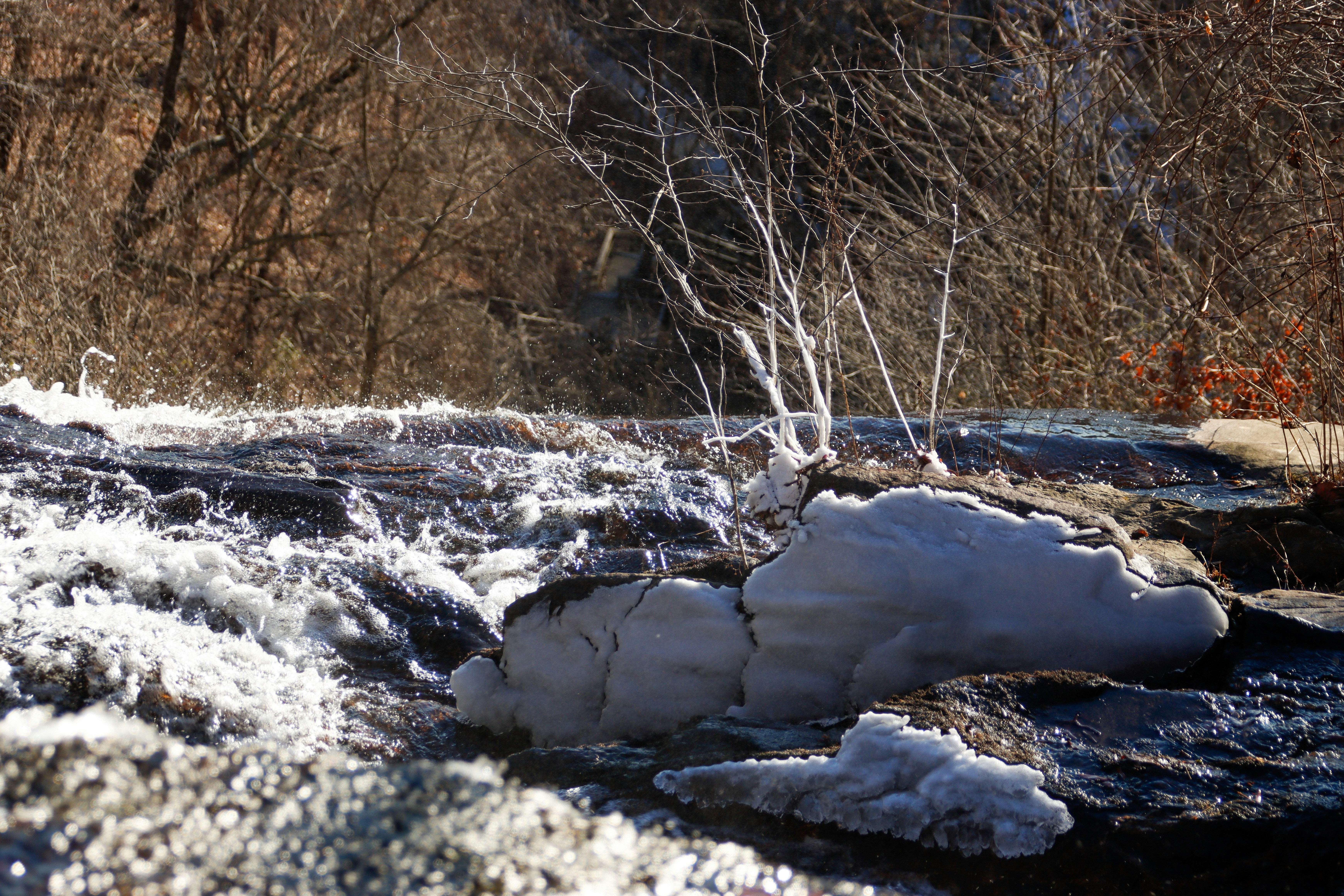 Photo by alla_kemelmakher