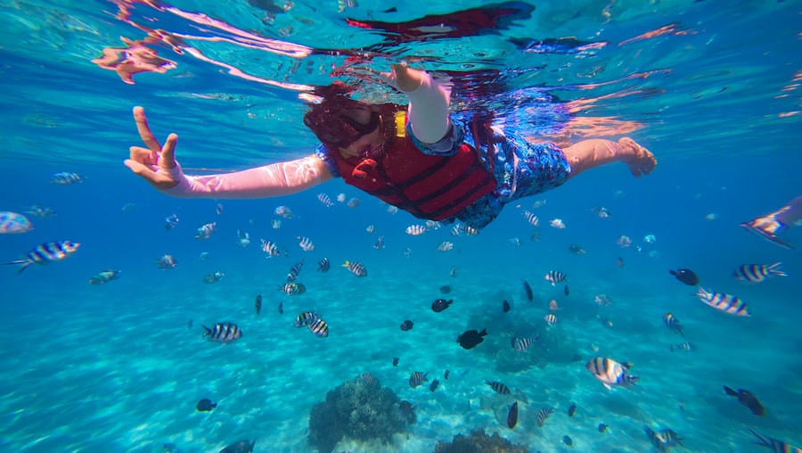 Snorkeling untuk pemula di laut jernih melihat ikan dan terumbu karang