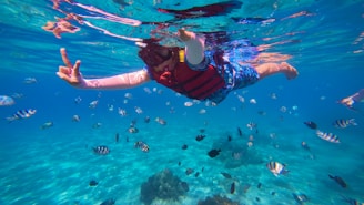 a person under water with a lot of fish