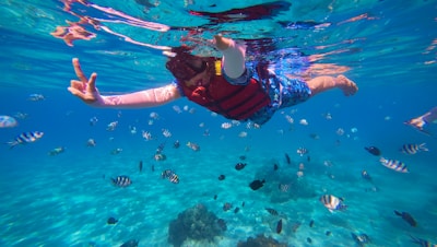 a person under water with a lot of fish