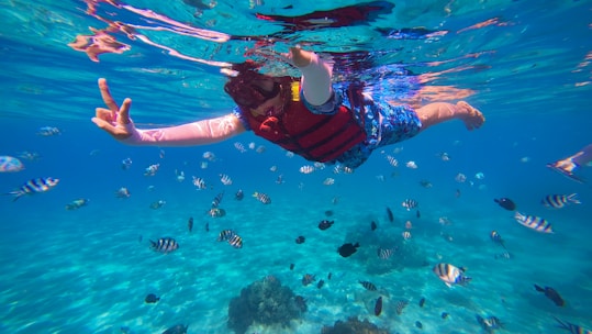 a person under water with a lot of fish