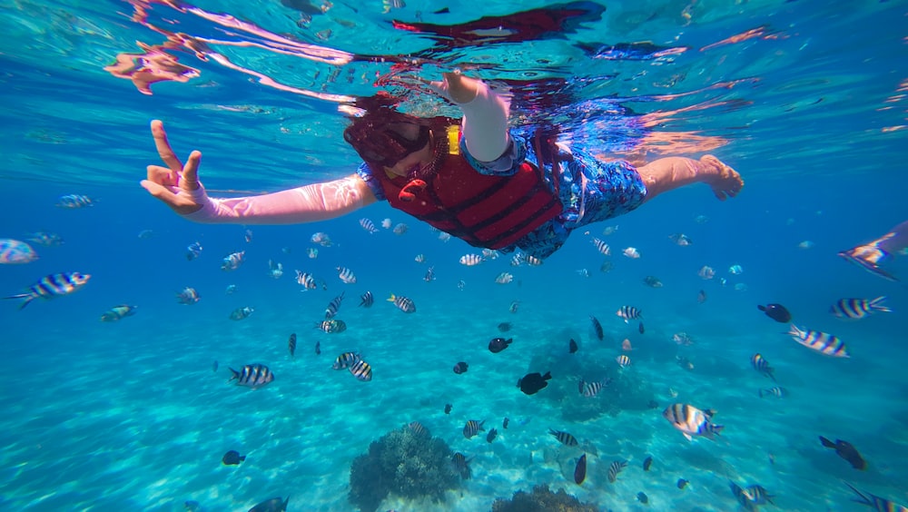 a person under water with a lot of fish