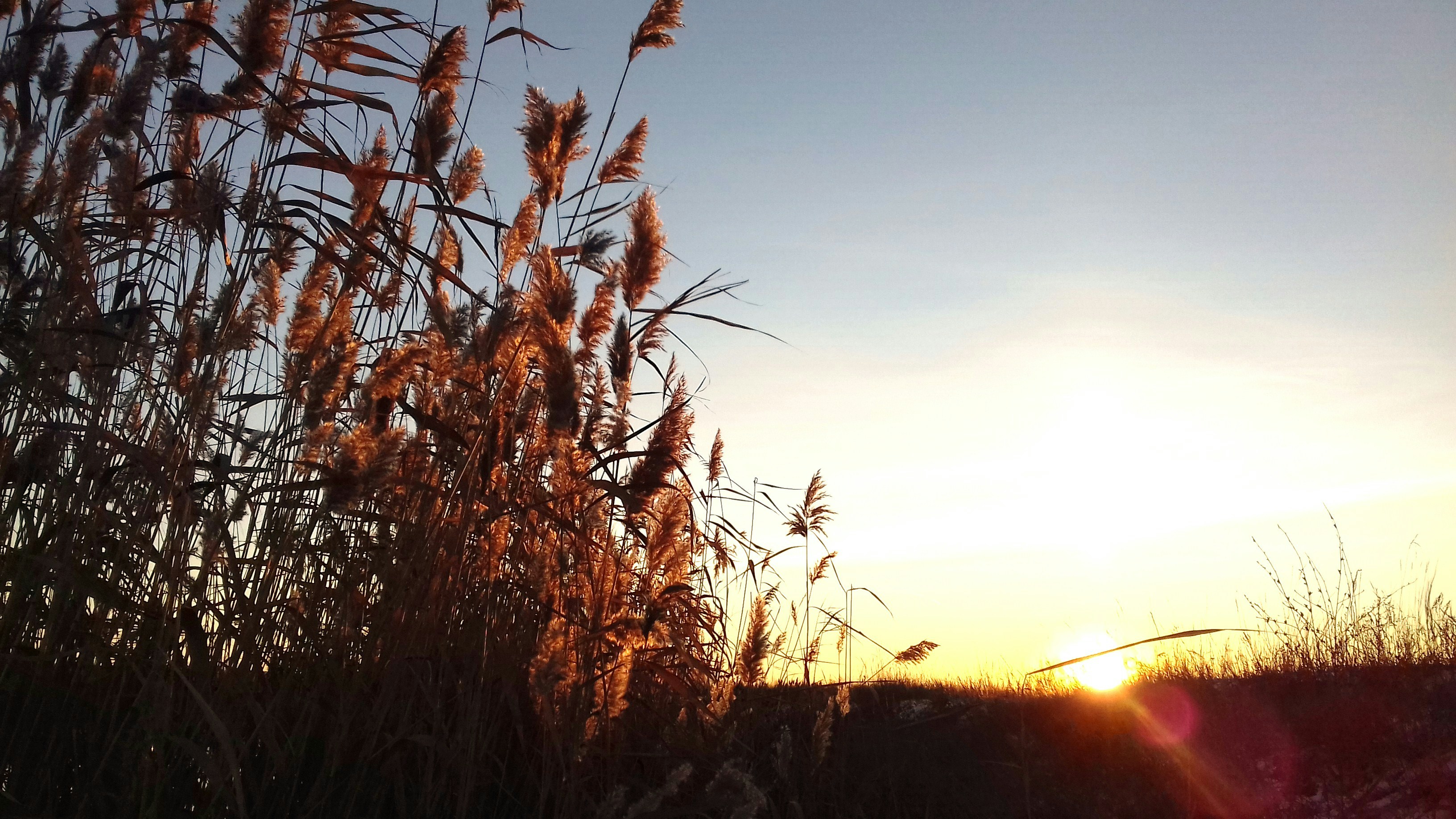 Photo by katrin_bloom