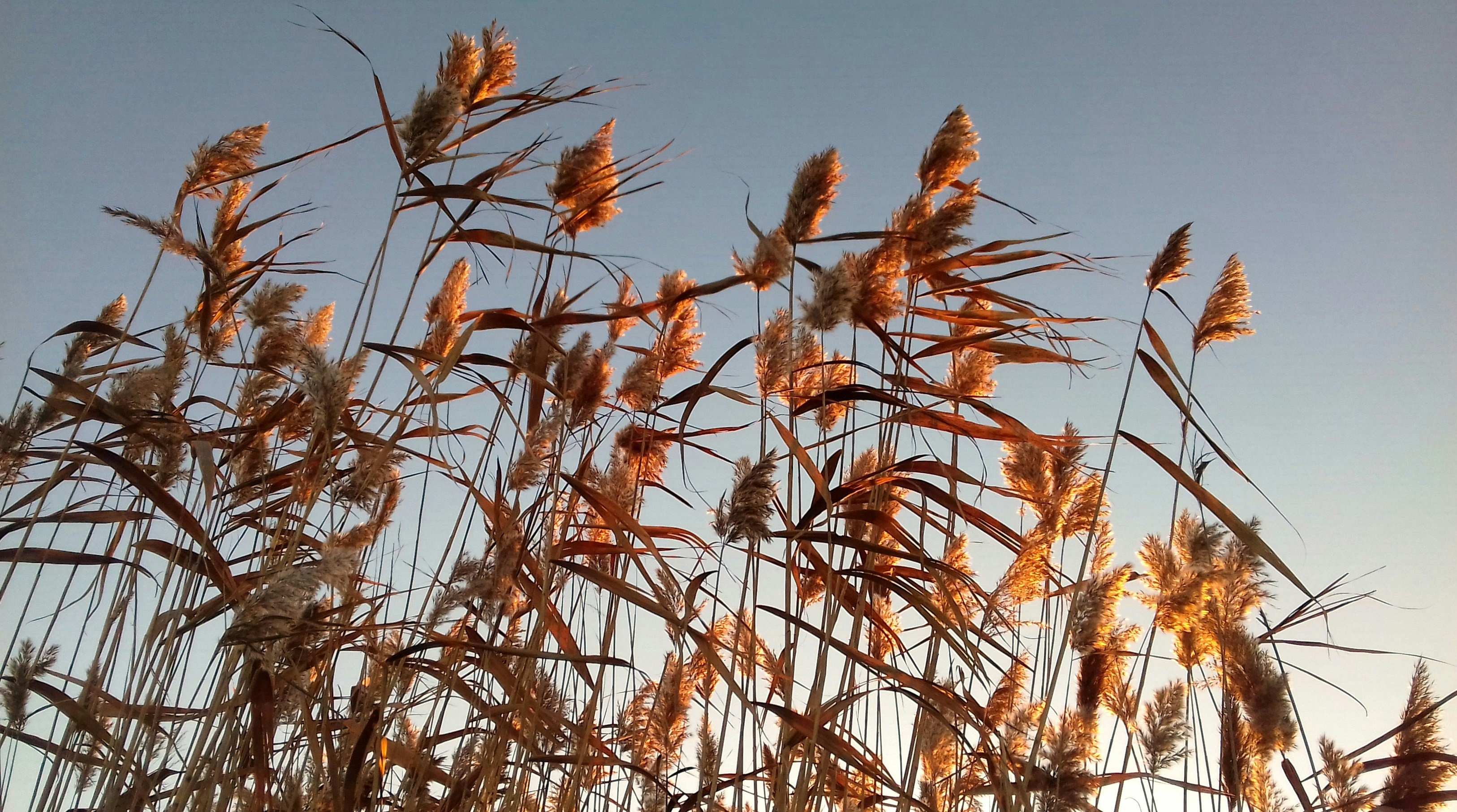 Photo by katrin_bloom