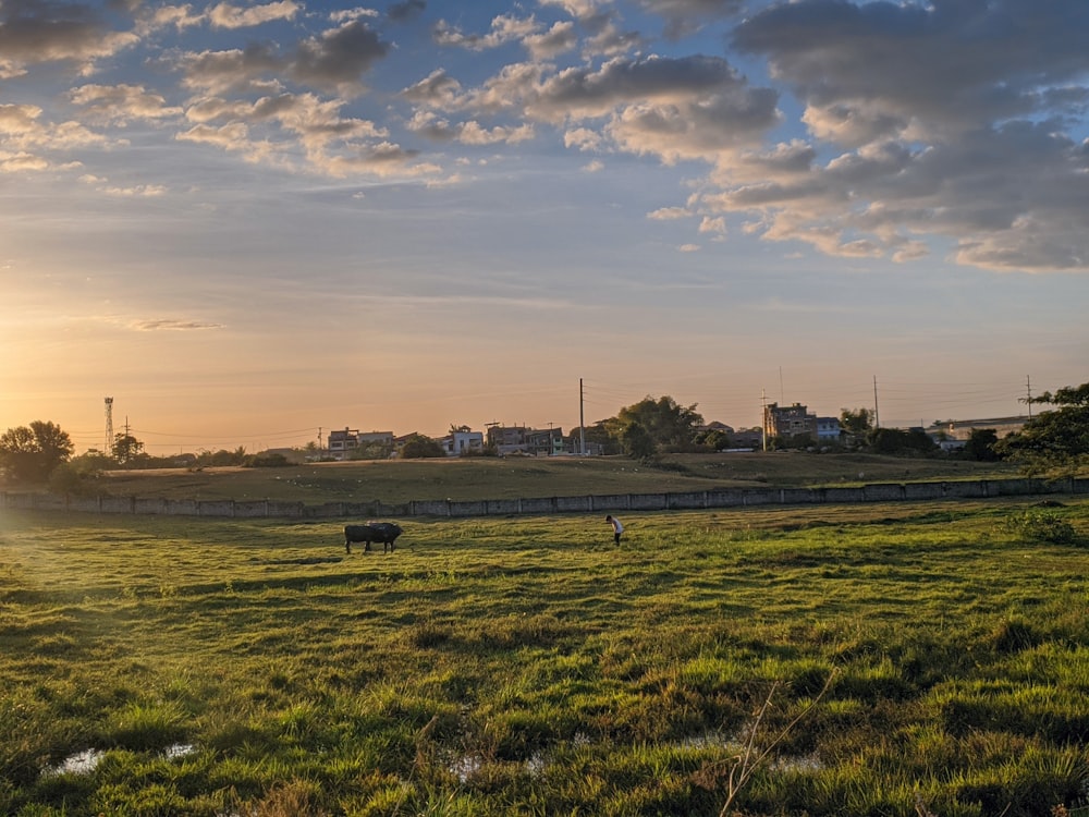 the sun is setting over a grassy field