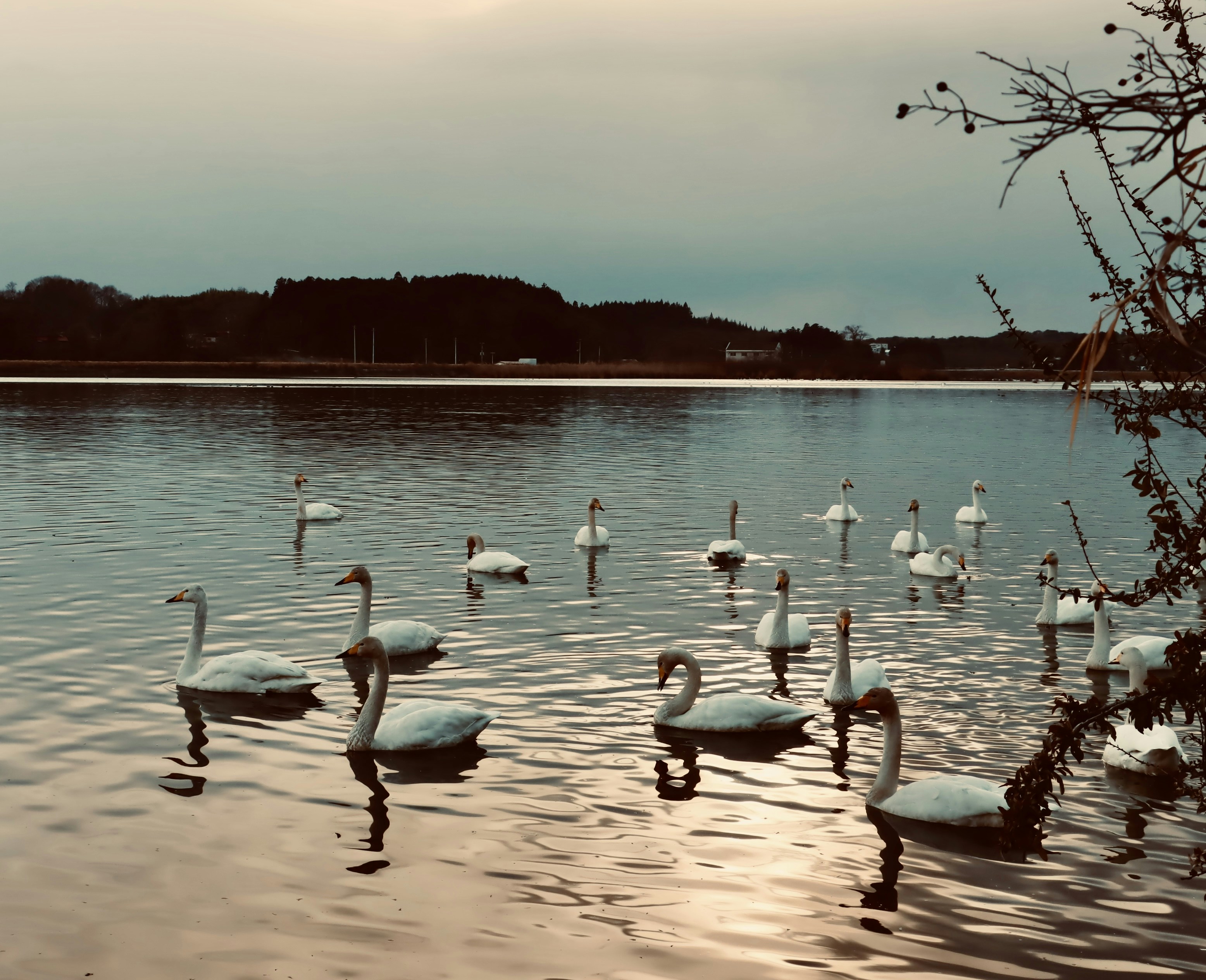 Photo by lco3