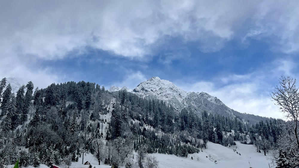 a mountain covered in snow with trees on the side