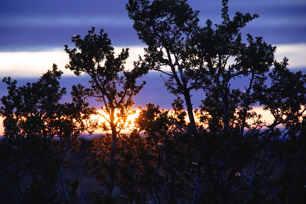 the sun is setting behind some trees