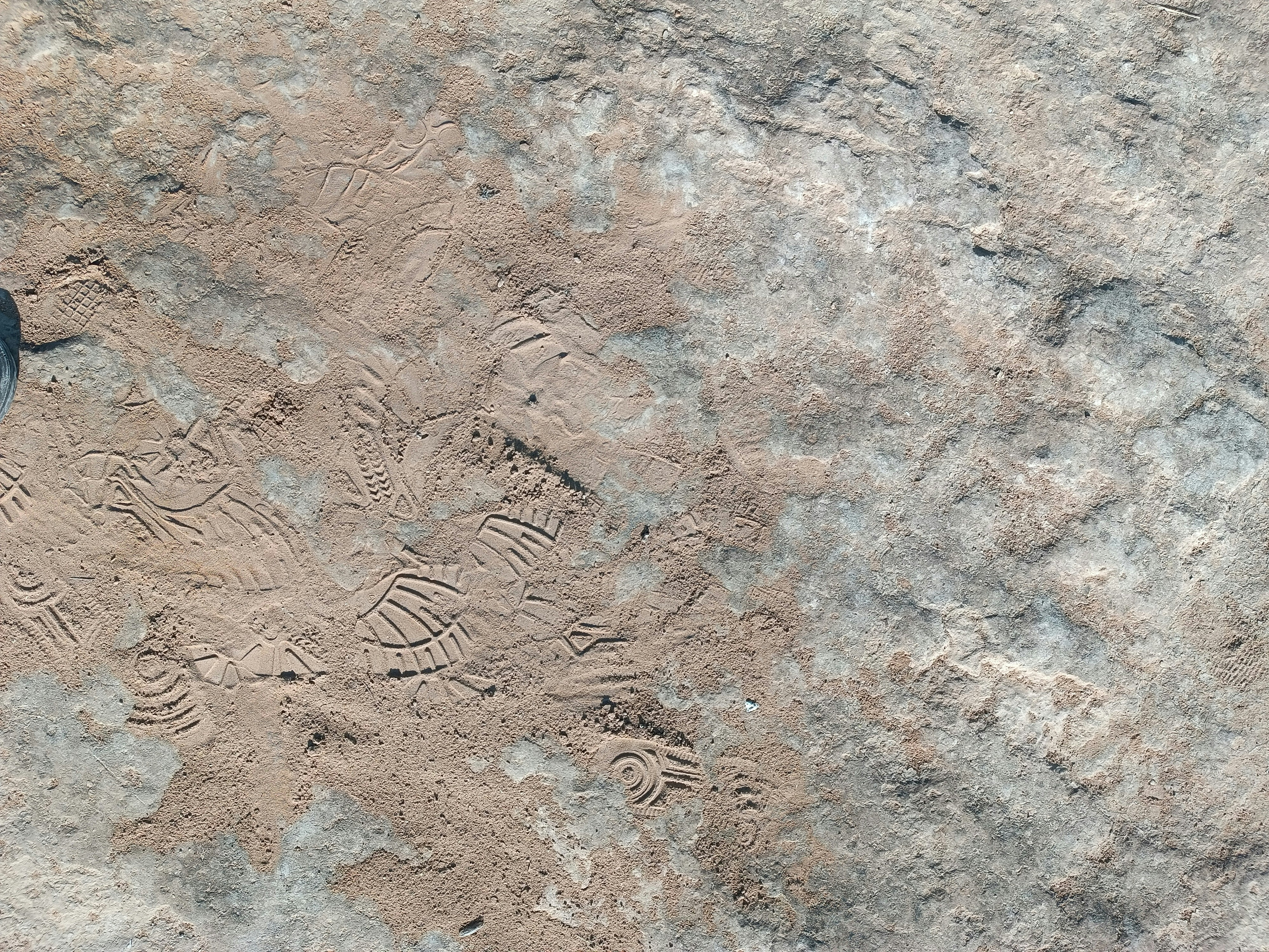 Photo by mohammad09393