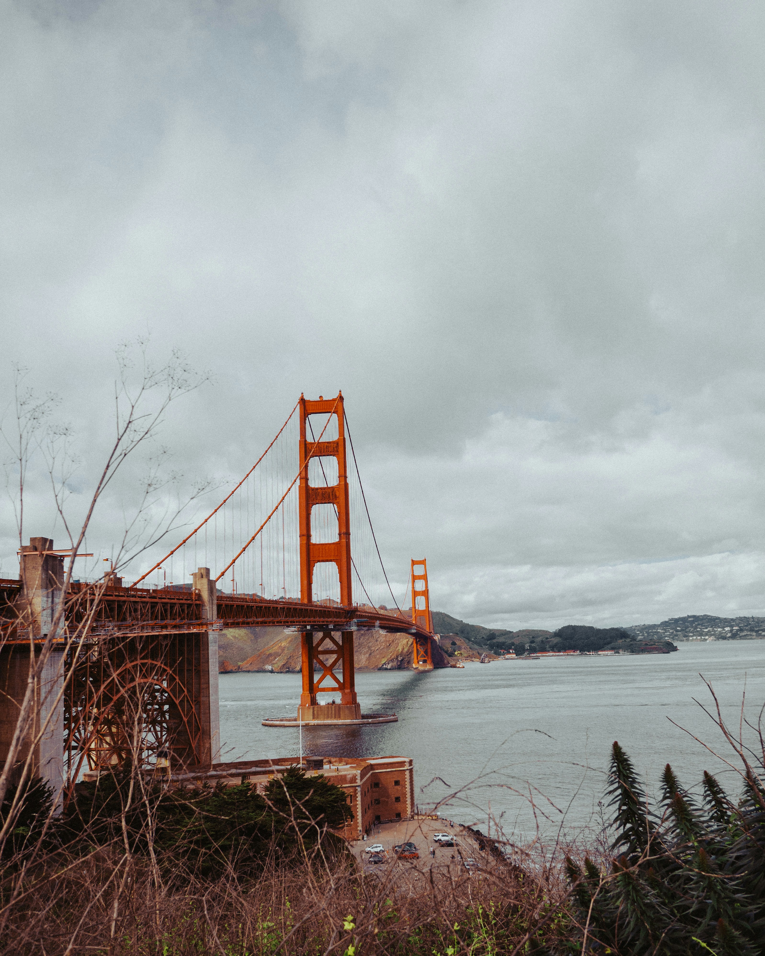 Photo by kingkonggeorge