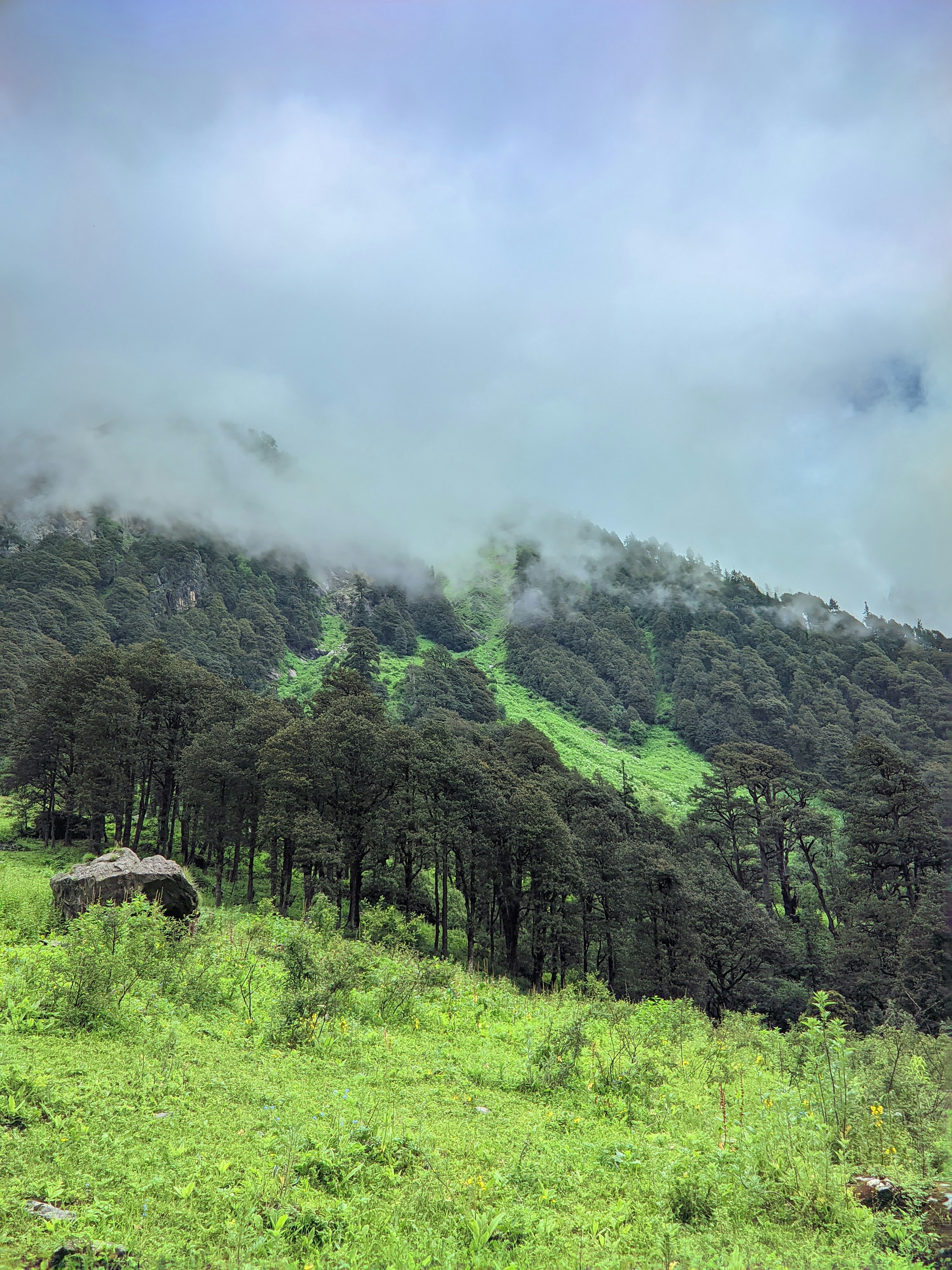 Photo by shubhankar21