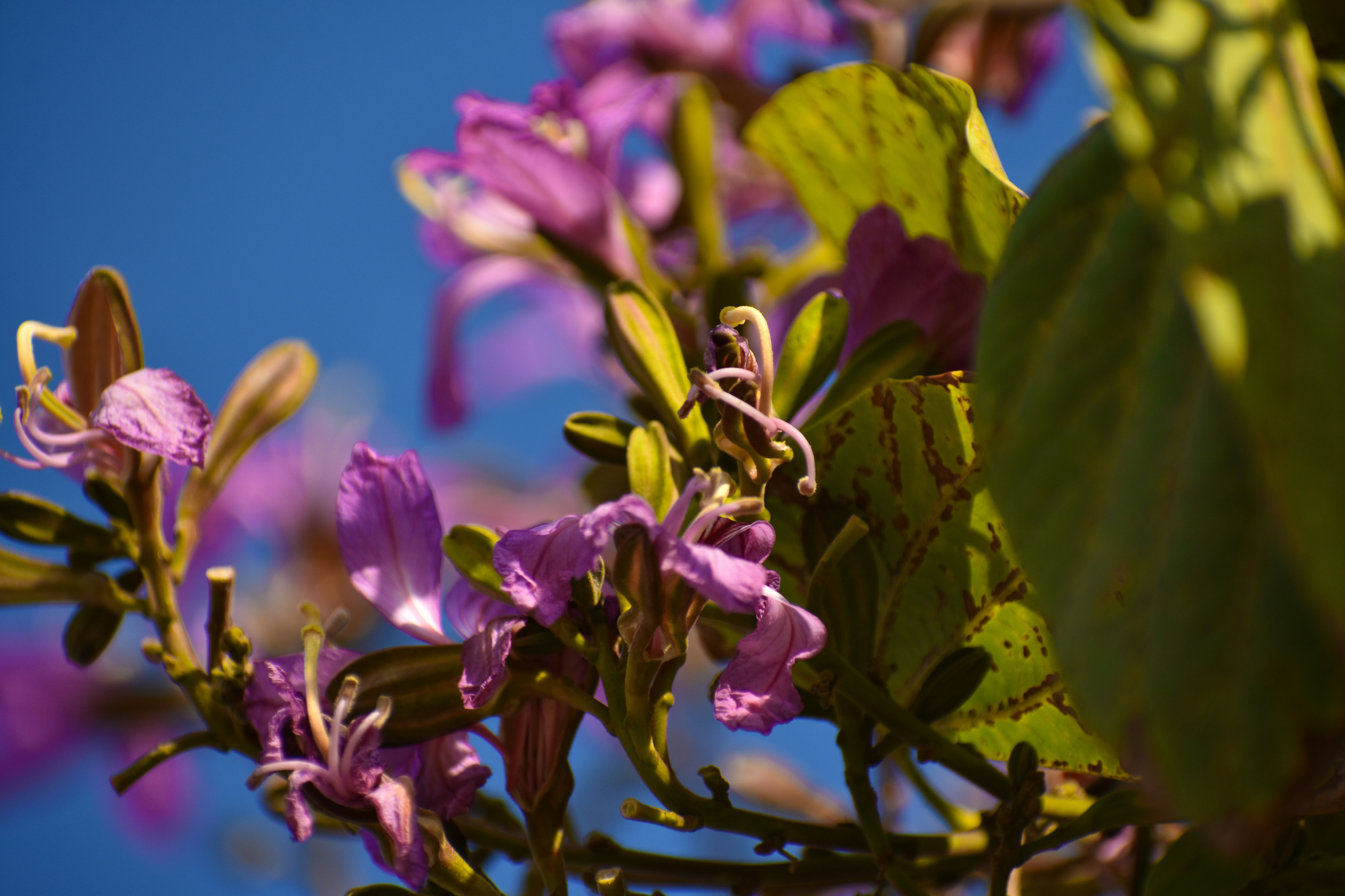 Photo by neelakshi_singh_