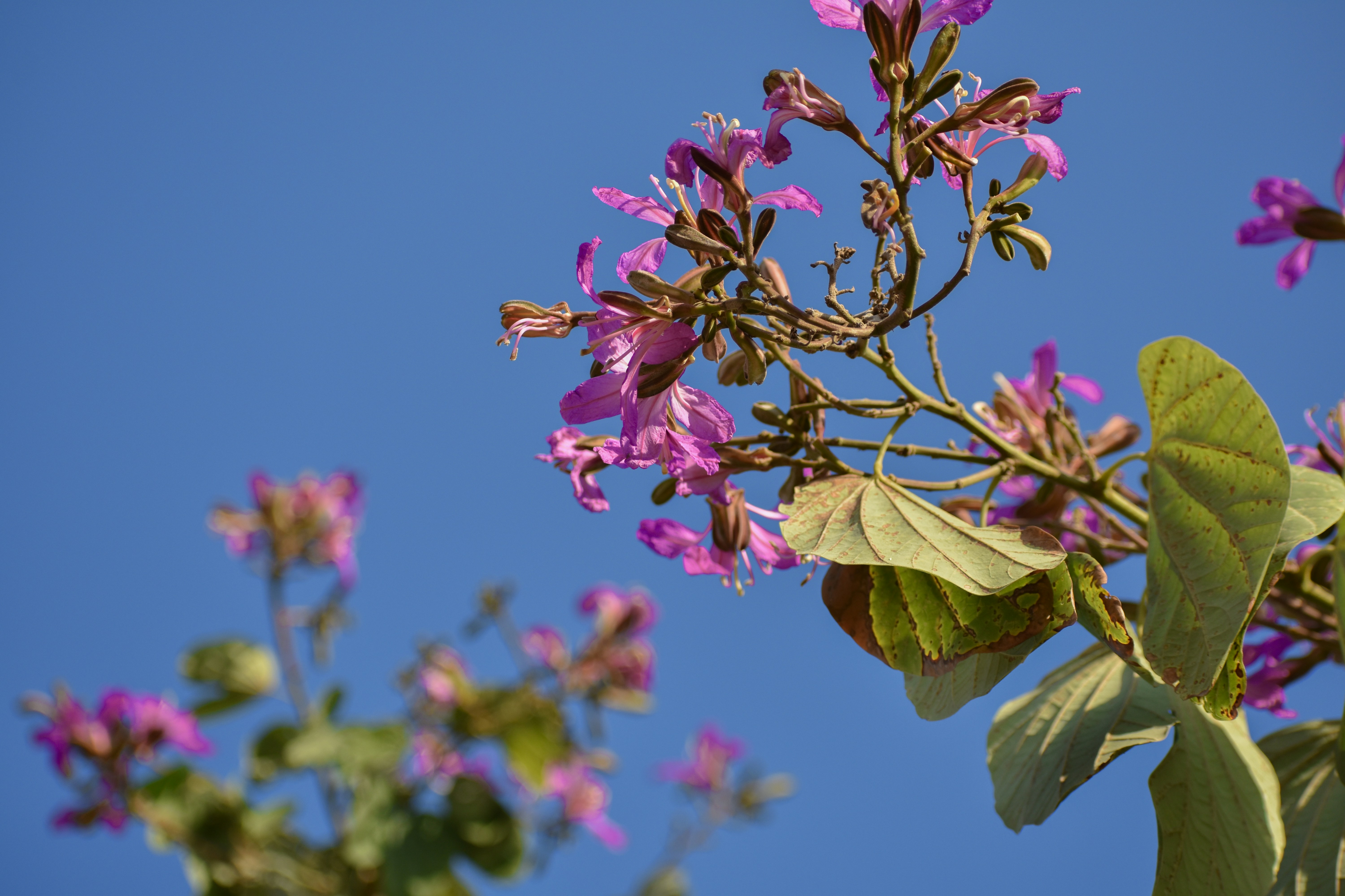 Photo by neelakshi_singh_