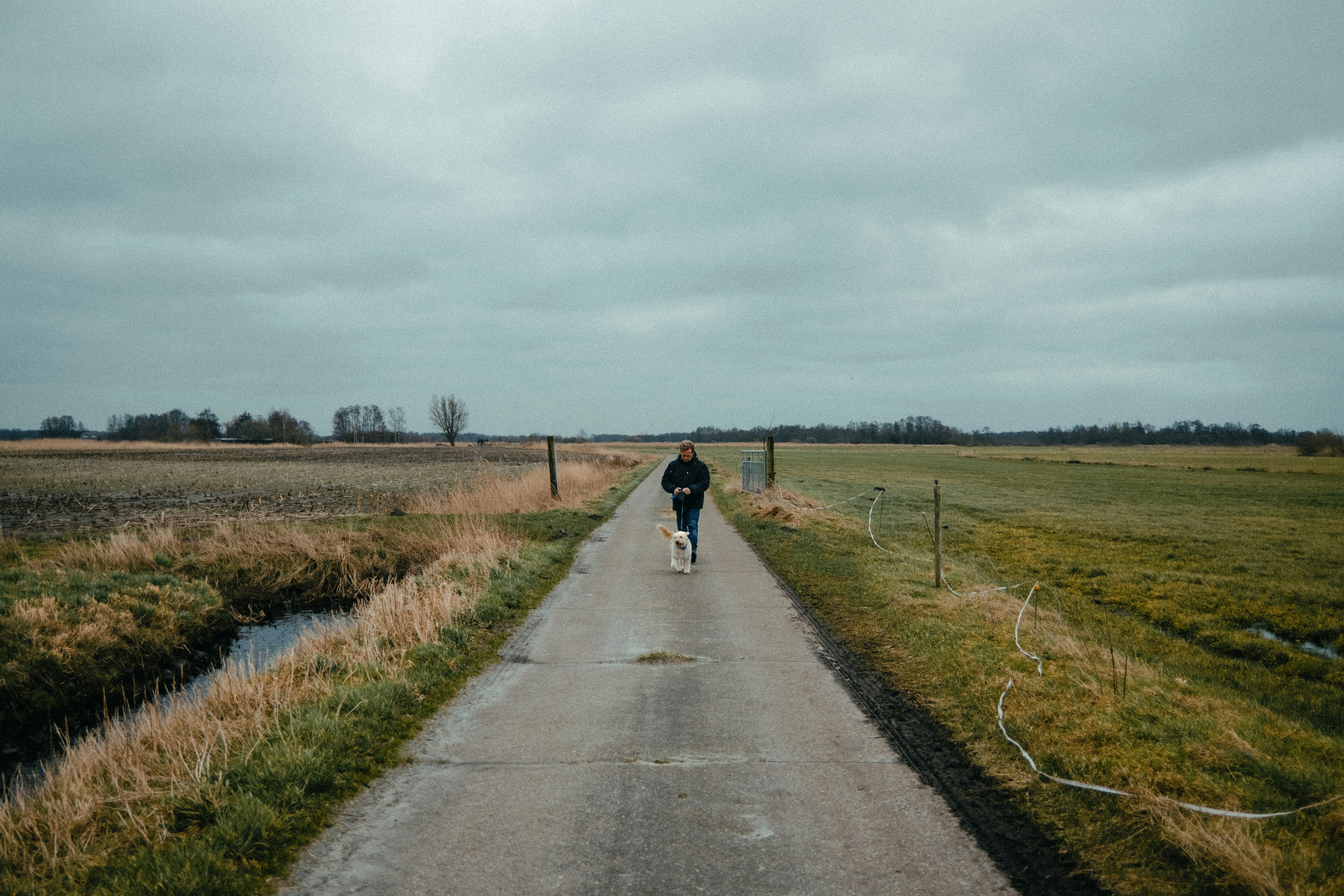 a person walking down a road in the middle of a field