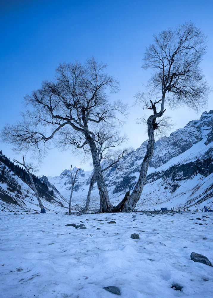 Kashmir travel destination – Vellfire Holidays