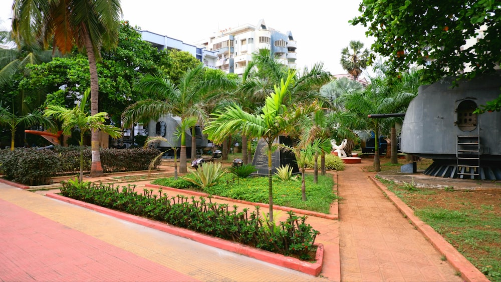 Un parc avec beaucoup d’arbres et de plantes