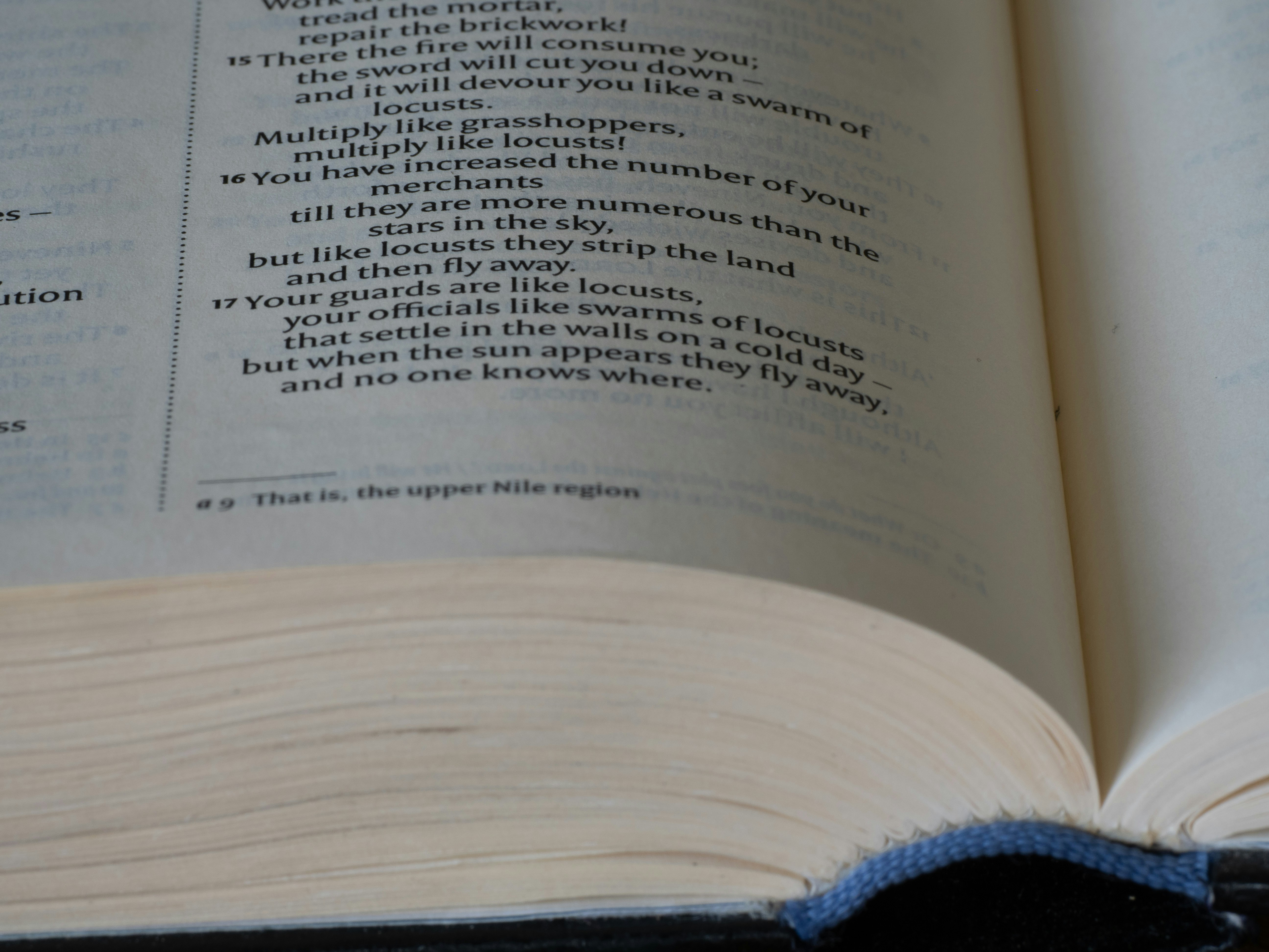 Photo by brett_jordan